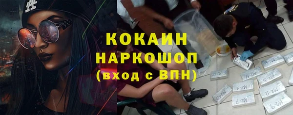 бошки Горняк