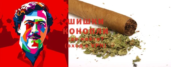 прущие грибы Вязьма