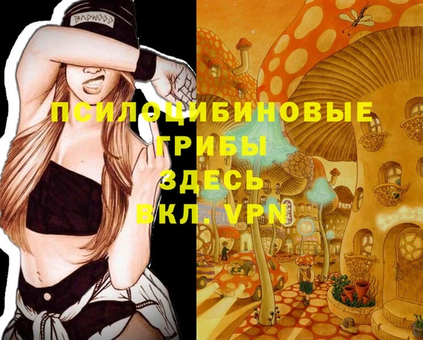 прущие грибы Вязьма