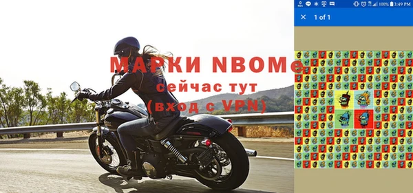 сатива Липки