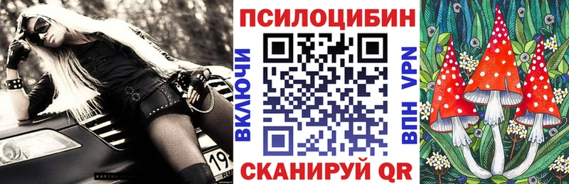 Галлюциногенные грибы Magic Shrooms  Енисейск 