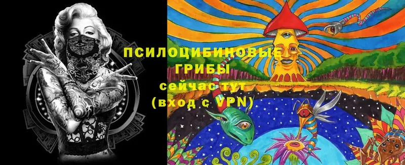 KRAKEN как войти  Енисейск  Галлюциногенные грибы ЛСД 